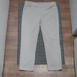 Kim Rogers Average Straight Tummy Control Light Khaki Pants